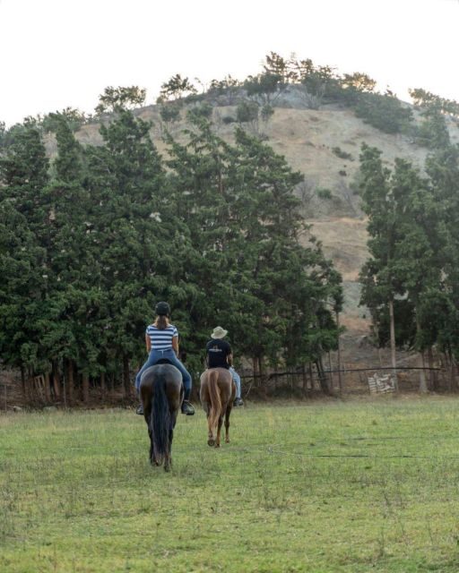 Crete Horse Riding: Cretan Countryside Ride - Authenticity and Experience