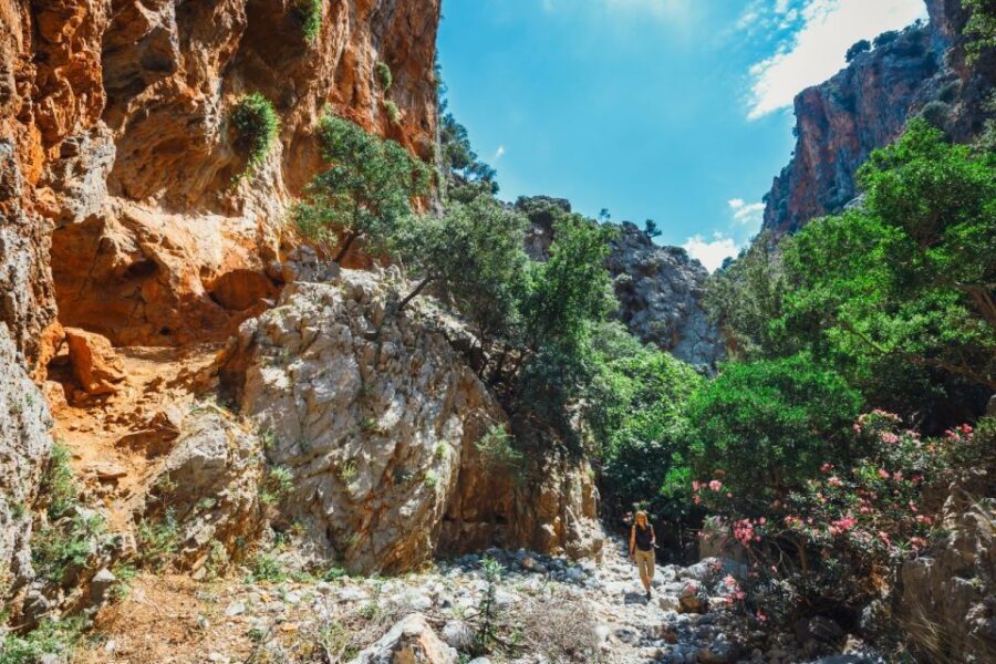 Crete: Kritsa Gorge Hike with Picnic & Swim Stop - Exploring Crete’s Eastern Gems: What the Kritsa Gorge Tour Offers