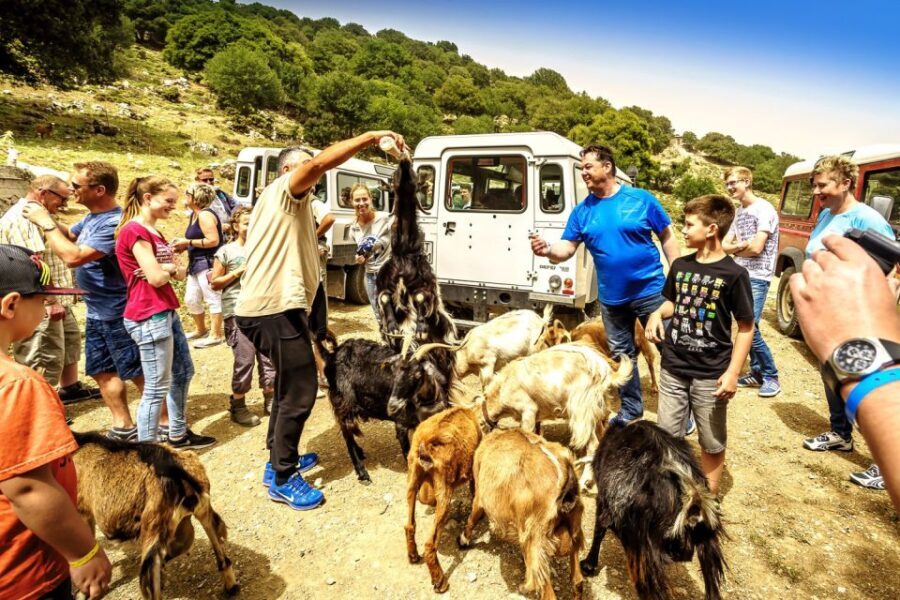 Crete: Land Rover Safari on Minoan Route - Key Points