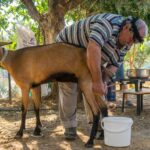 Crete: Lasithi Plateau and Cave of Zeus Off Road Safari Tour - Who Will Love This Tour?