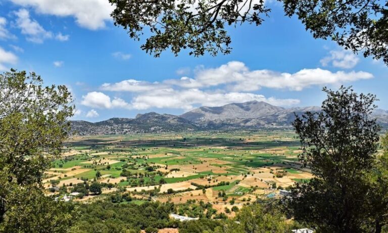 Crete: Lasithi Plateau & Knossos Palace Day Trip - Practical Tips for the Tour