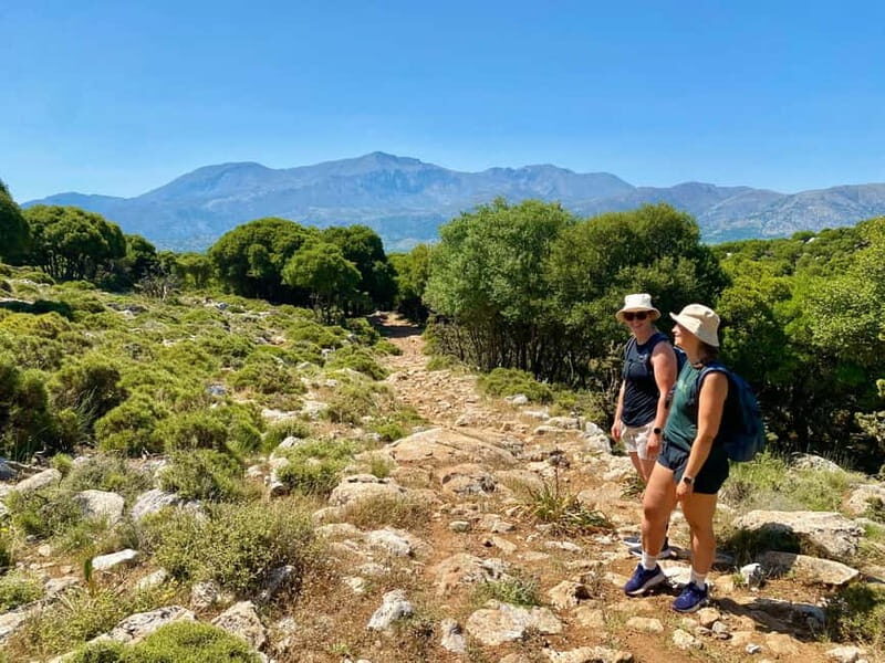 Crete: Lassithi Plateau Guided Hiking Tour - The Experience: What You Can Expect