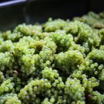 Crete: Olive, Wine, & Raki on a Flavorful Culinary Journey - Practical Tips for Travelers