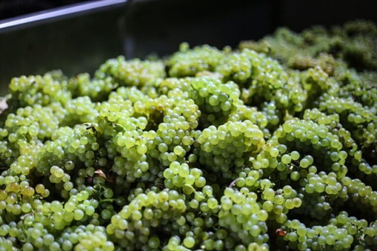 Crete: Olive, Wine, & Raki on a Flavorful Culinary Journey - Practical Tips for Travelers