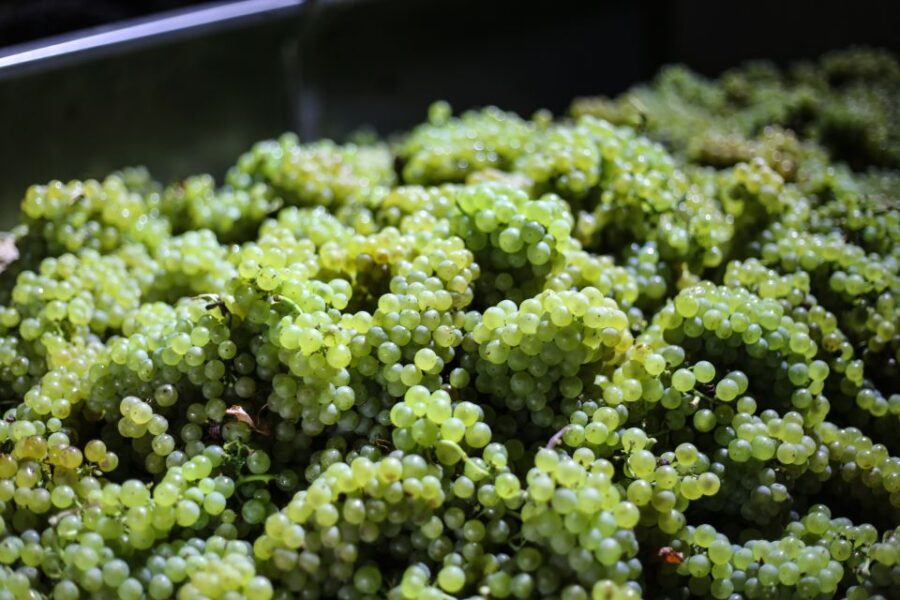 Crete: Olive, Wine, & Raki on a Flavorful Culinary Journey - Practical Tips for Travelers