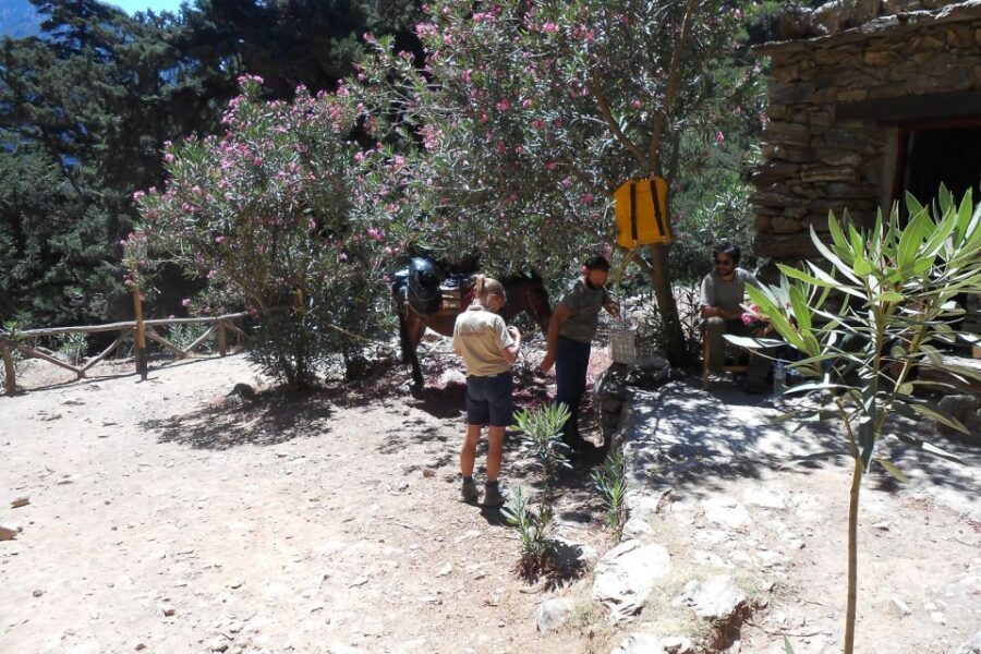 Crete: Samaria Gorge Hiking with transfer and expert Escort - Authentic Insights from Travelers
