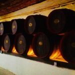 Cricova & Milestii Mici Wineries - Why This Tour Is Great Value
