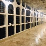 Cricova Winery & Old Orhei & Curchi Monastery - Who Will Love This Tour?
