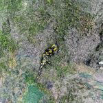 Croatia: Plitvice Lakes Private Tour with Hotel Pickup - A Closer Look at the Plitvice Lakes Tour
