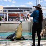 Crocosaurus Cove General Admission Ticket - Practical Tips for Visitors