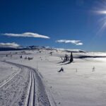 Cross-Country Skiing Guided Tour From Prague - A Deep Dive into the Cross-Country Skiing Experience