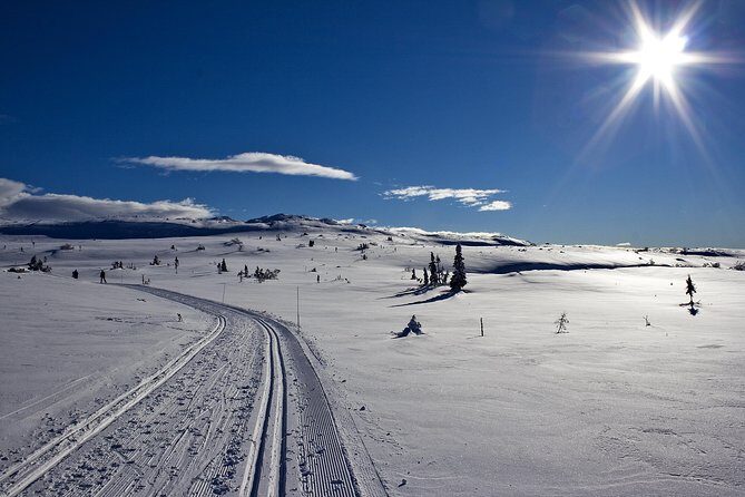 Cross-Country Skiing Guided Tour From Prague - A Deep Dive into the Cross-Country Skiing Experience