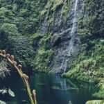 Crossing Over Tahiti Island Safari 4x4 - The Itinerary: What Youll See and Do
