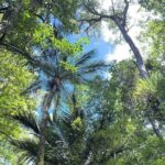 Cruise Abel Tasman to Golden Bay - What’s Included and How It Adds Value