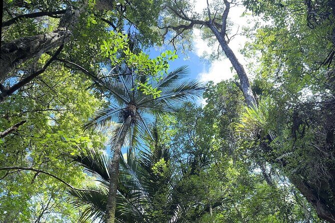 Cruise Abel Tasman to Golden Bay - What’s Included and How It Adds Value