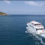 Cruise and 4X4 Safari Tour at Akamas Peninsula from Paphos - A Detailed Look at the Tour