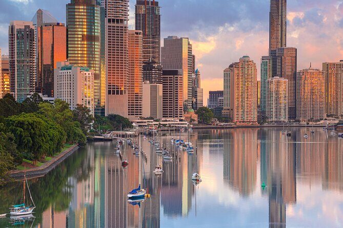 Cruise Lines Shore Tour Brisbane Highlights and Lone Pine - Why This Tour Is a Great Deal
