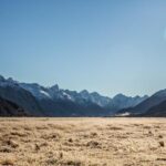 Cruise Milford Small Group Day Tour from Queenstown - Scenic Drive Along Lake Wakatipu and Devil’s Staircase