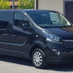 Cruise port: transfer to Rome or FCO - FAQ