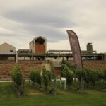 CRUISE SHIP DAY Marlborough Hop On Hop Off Wine Tours - Final Thoughts