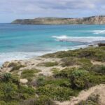 Cruise Ship Dudley Peninsula Tour - A Detailed Look at the Dudley Peninsula Tour