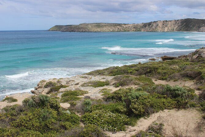 Cruise Ship Dudley Peninsula Tour - A Detailed Look at the Dudley Peninsula Tour