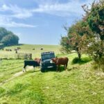 CRUISE SHIP SPECIAL- JEEP SAFARI - PRIVATE GUIDED TOUR (6 Hours) - Frequently Asked Questions