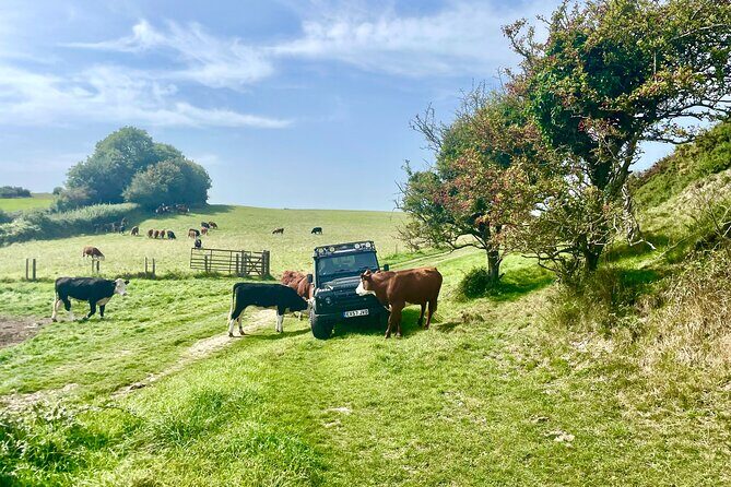 CRUISE SHIP SPECIAL- JEEP SAFARI - PRIVATE GUIDED TOUR (6 Hours) - Frequently Asked Questions