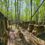 Cruise to Old Kemi with Guided Walking Tour - Who Will Love This Tour