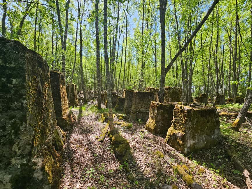Cruise to Old Kemi with Guided Walking Tour - Who Will Love This Tour