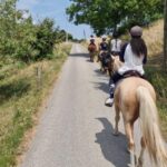 Cruseilles: Horseback Riding in the Countryside - The Ride: Trails and Scenic Highlights