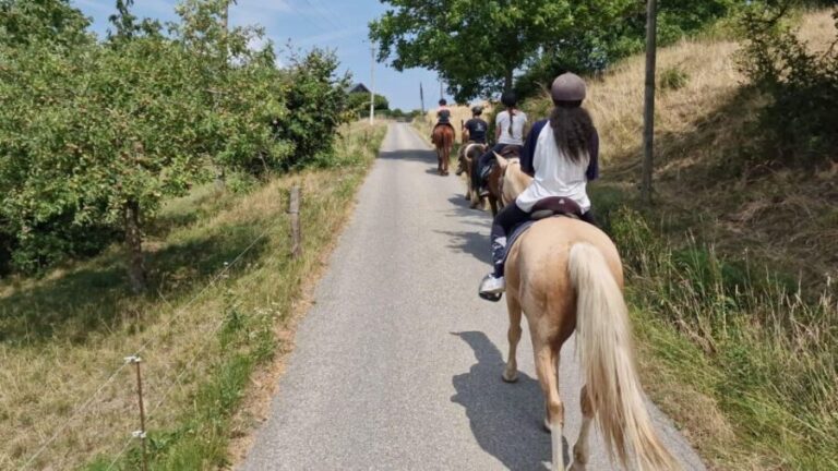 Cruseilles: Horseback Riding in the Countryside - The Ride: Trails and Scenic Highlights