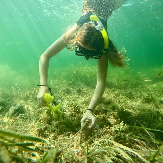 Crystal River: All Inclusive Premier Scalloping Tour - Final Thoughts