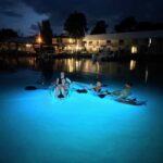 Crystal River Clear Kayak Sunset & Night Glow Tour - Exploring the Tour in Detail