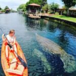 Crystal River: Kayak Rental - Who Will Love This Experience?