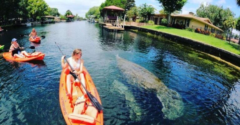 Crystal River: Kayak Rental - Who Will Love This Experience?