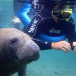 Crystal River: Manatee Snorkel Tour w/ In-Water Photographer - FAQ