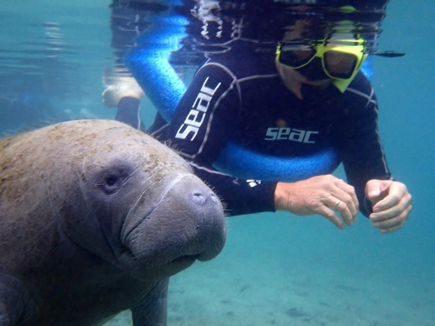 Crystal River: Manatee Snorkel Tour w/ In-Water Photographer - FAQ