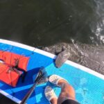 Crystal River: Paddle Board Rental - The Experience: What Works Well