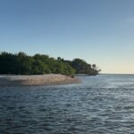 Crystal River Shell Island Adventure - An In-Depth Look at the Crystal River Shell Island Adventure