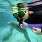Crystal River: VIP Manatee Swim w/ In-water Photographer - Who Should Consider This Tour