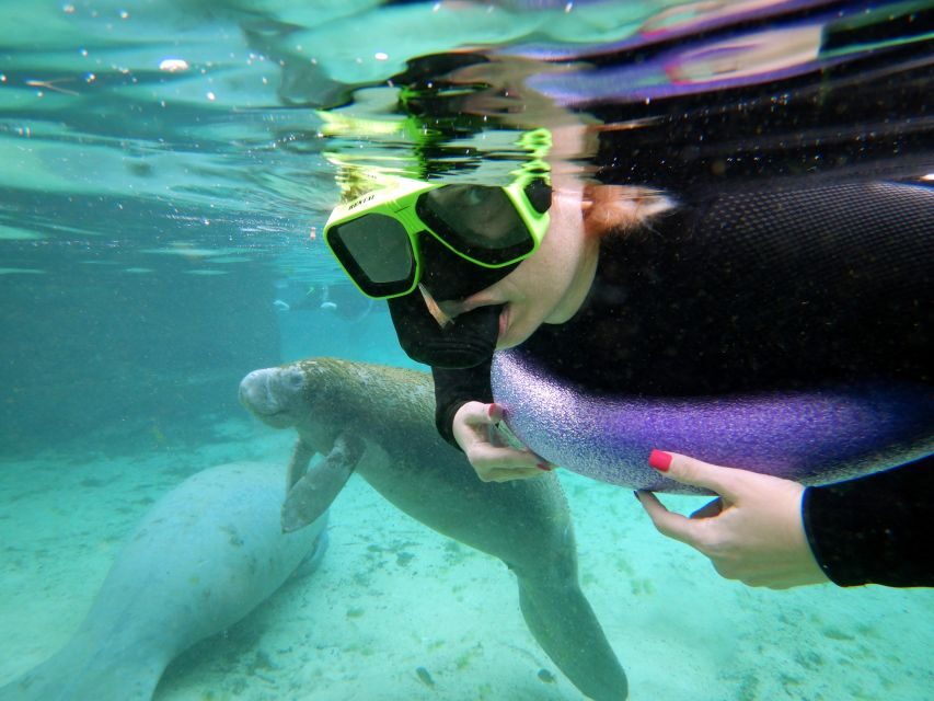 Crystal River: VIP Manatee Swim w/ In-water Photographer - Who Should Consider This Tour