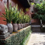 Cuernavaca: Museo Robert Brady Entrance Tickets - The Rich Legacy of Casa de la Torre