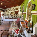 Cuernavaca: Museo Robert Brady Guided Tour - Why This Tour Is Worth It