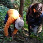 Culinary Adventure To The Fungi And Botanical Kingdom Of Bulgaria - Exploring Bulgaria’s Botanical and Fungal World: A Deep Dive