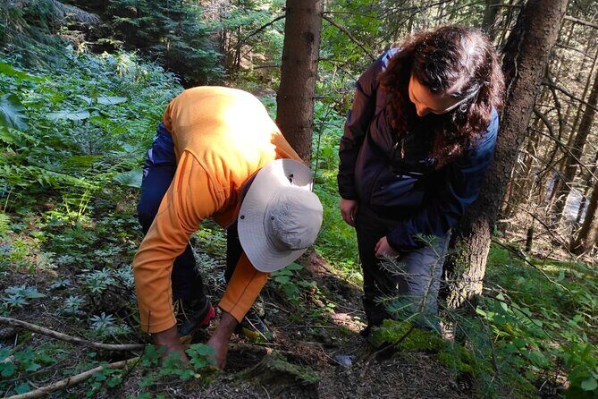 Culinary Adventure To The Fungi And Botanical Kingdom Of Bulgaria - Exploring Bulgaria’s Botanical and Fungal World: A Deep Dive