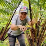 Cultivate Hapuu Ferns with Citrus Tea in the Hawaiian Rainforest - Who Should Consider This Tour?