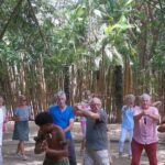 Cultural Day Tour - Authenticity and Practicality: What Makes This Tour Stand Out
