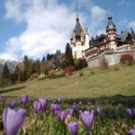 Cultural Day Trip to Transylvania including Peles Castle & Bran Dracula's Castle - Who Will Love This Tour?