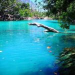 Cultural Experience & Blue Lagoon with Yumi Tours - Practical Details and What to Expect